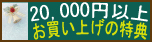 ��­ˡ��20000�߰ʾ太�����ŵ
