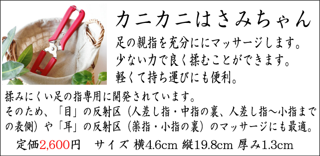 官足法カニカニはさみちゃん 不眠症