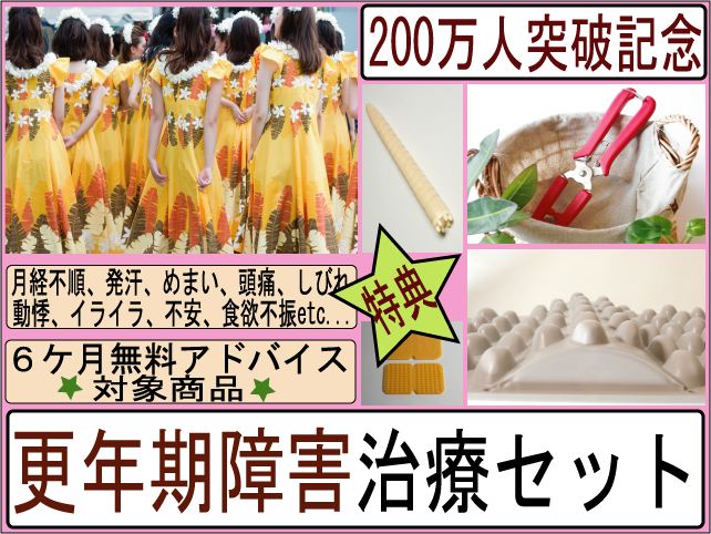 ¹¹Ç¯´ü¾ã³²¡¡¼£ÎÅ¥»¥Ã¥È