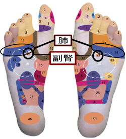 ȿ�Ͷ衡�١�����