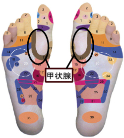 ȿ�Ͷ衡�þ���