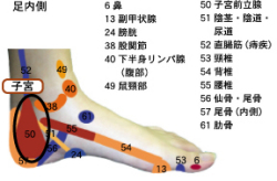 ȿ�Ͷ衡�ҵ�