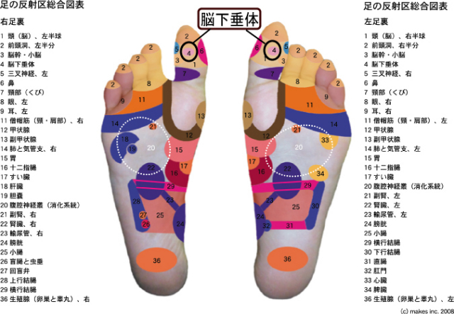 ȿ�Ͷ衡Ǿ������