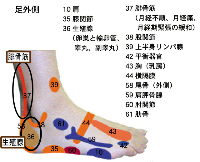 ȿ�Ͷ衡��������礹���