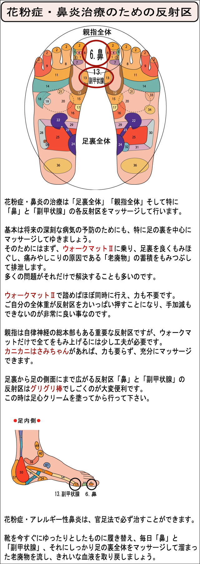 花粉症・鼻炎　治療　反射区