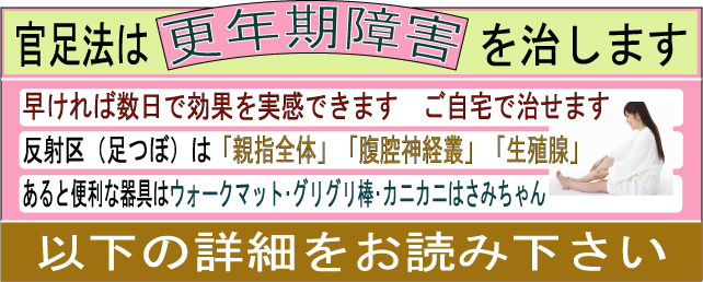 更年期障害　治療セット