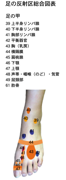 足の甲の痛み ウインターベル健康ショップ 官足法の足つぼ治療 足裏マッサージ治療用健康器具