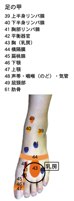 痛い 横隔膜 肋骨の下（横隔膜）の痛み 横浜の整体・カイロプラクティックCura
