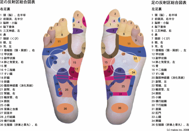 反射区図表 ウインターベル健康ショップ 官足法の足つぼ治療 足裏マッサージ治療用健康器具