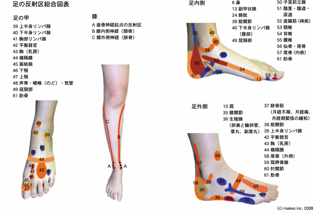 反射区図表 ウインターベル健康ショップ 官足法の足つぼ治療 足裏マッサージ治療用健康器具