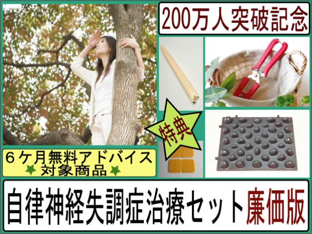 官足法　自律神経失調症治療セット廉価版