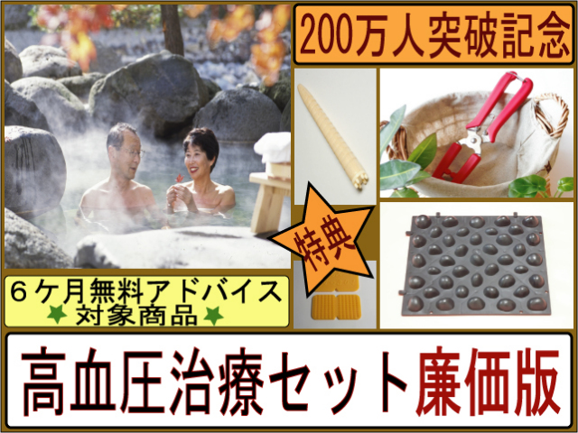 官足法 高血圧治療セット廉価版