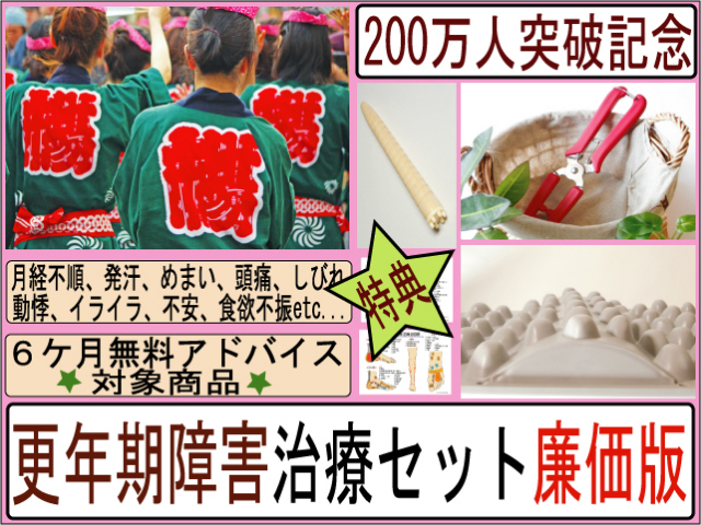 官足法　更年期障害治療セット廉価版